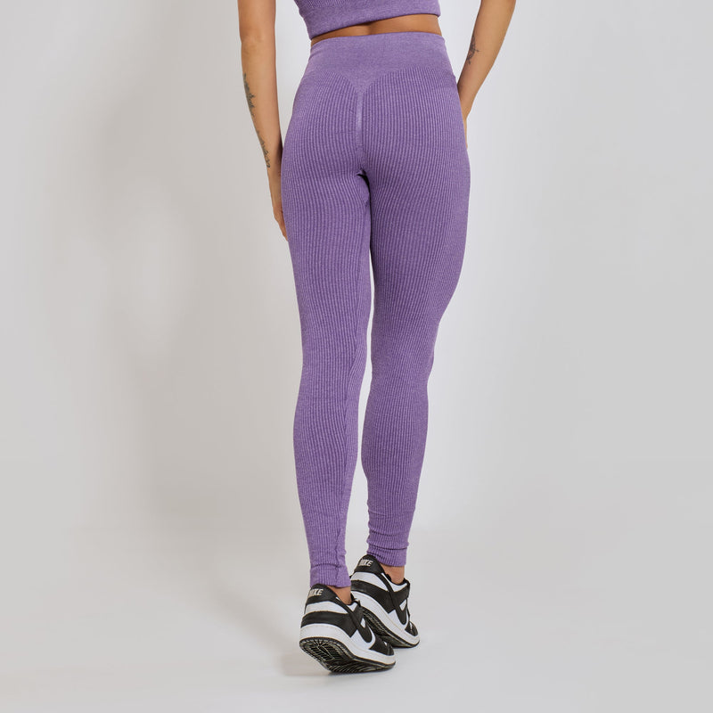 Conjunto Fitness sem Costura Nadador Roxo CO429